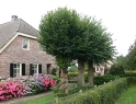 bed-en-breakfast-drenthe