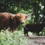 Een heerlijk weekendje Drenthe